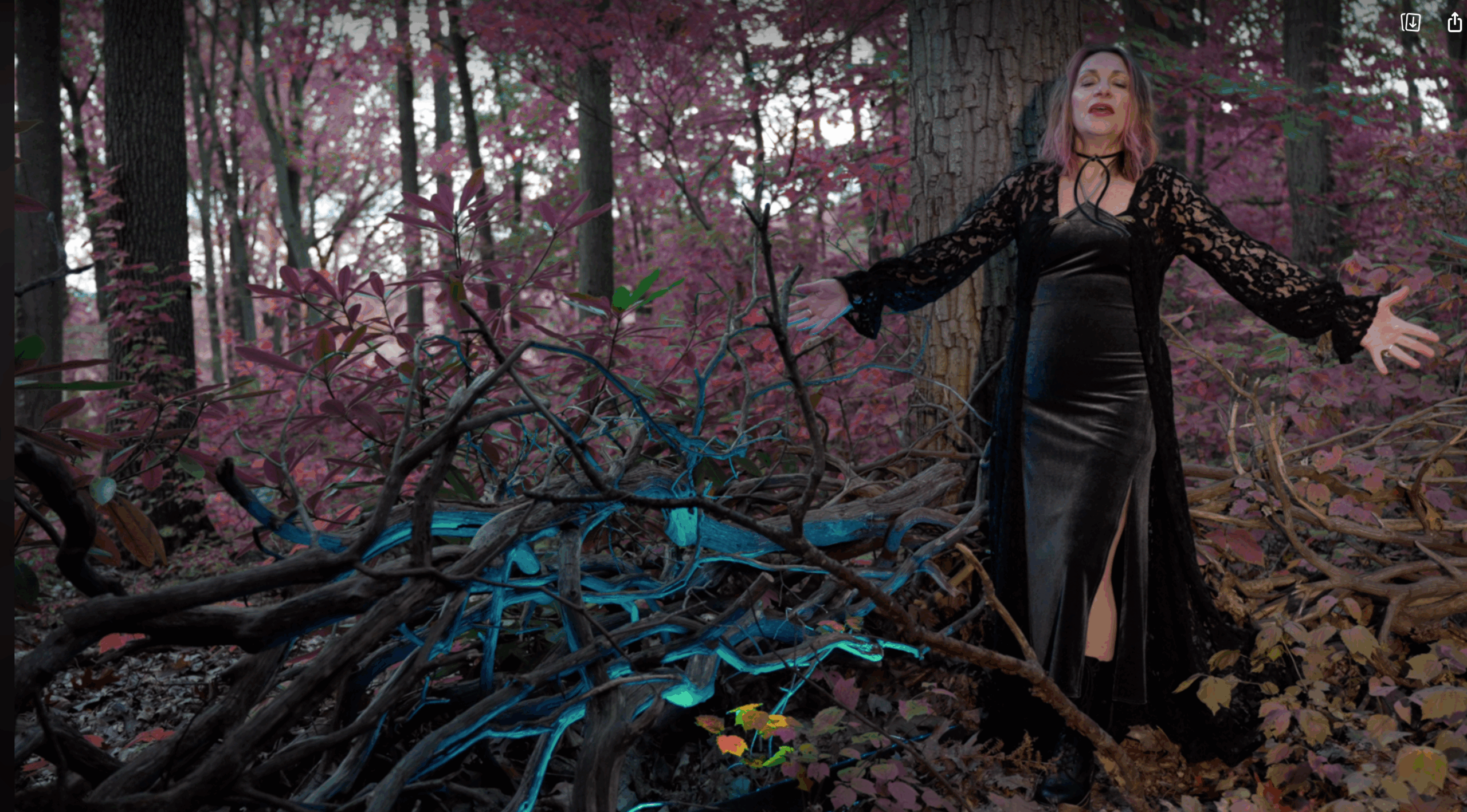 Medea woods